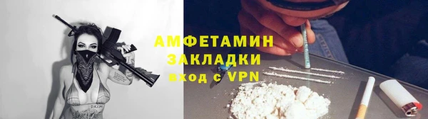 ПСИЛОЦИБИНОВЫЕ ГРИБЫ Горно-Алтайск