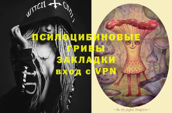 ПСИЛОЦИБИНОВЫЕ ГРИБЫ Горно-Алтайск