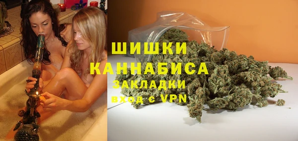 ПСИЛОЦИБИНОВЫЕ ГРИБЫ Горно-Алтайск