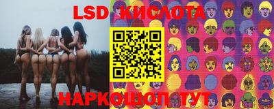 гидропоника Краснокаменск