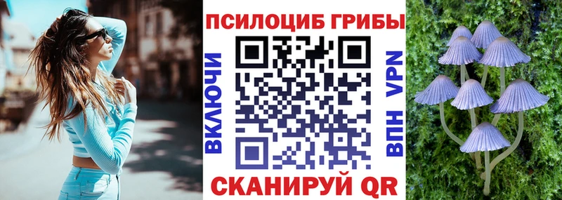 Галлюциногенные грибы Cubensis  Тюмень 