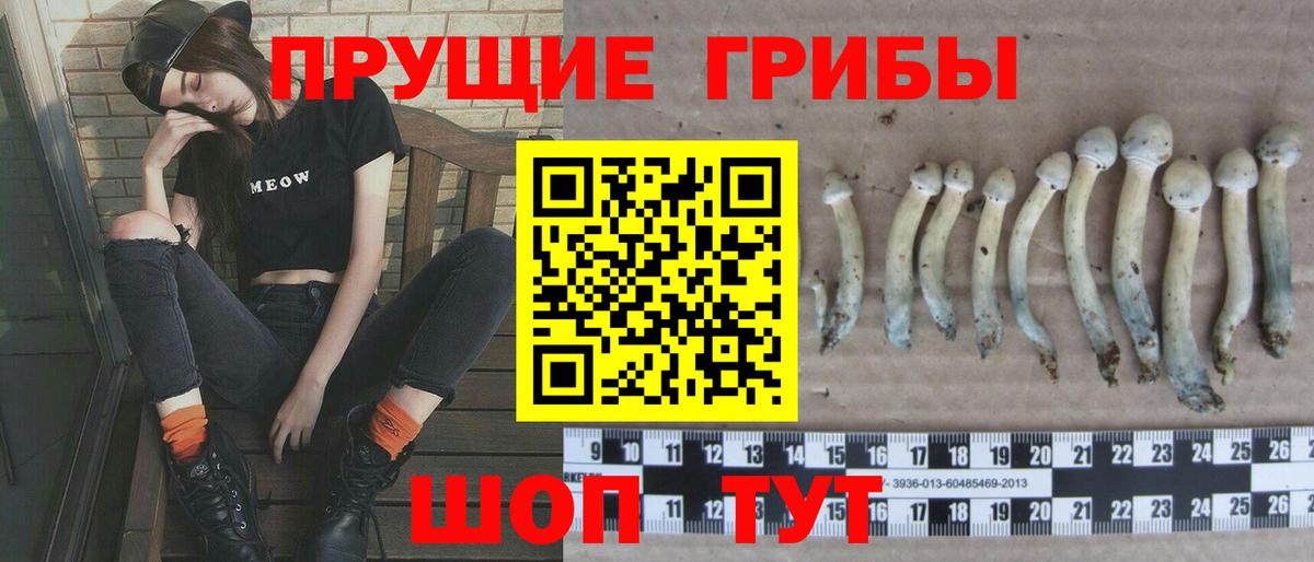 Россия  Псилоцибиновые грибы MAGIC MUSHROOMS  Вход с VPN  Псилоцибиновые грибы мухоморы 