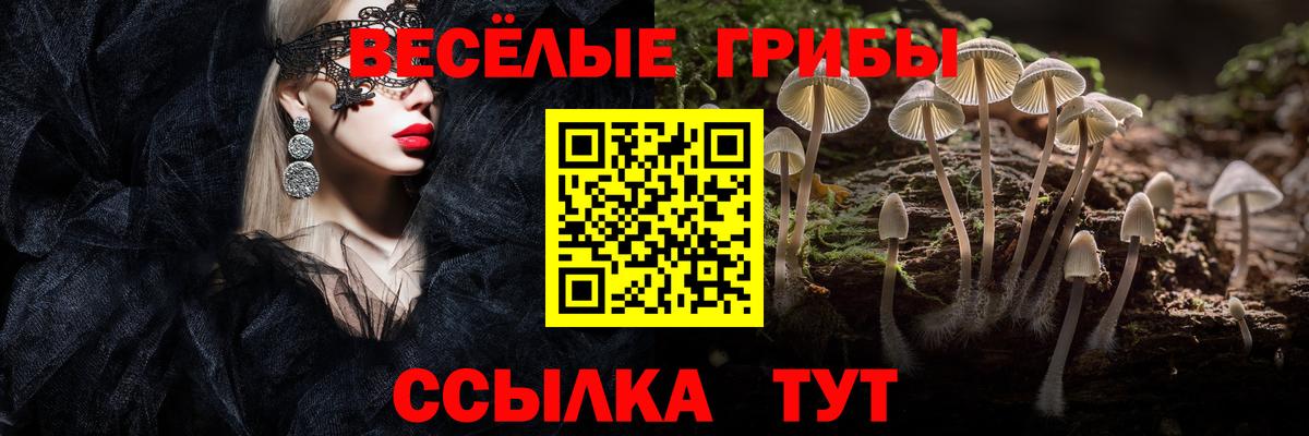 Россия  Псилоцибиновые грибы мухоморы  Вход с VPN 