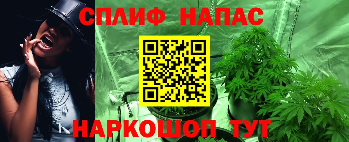 Каннабис семена  Вход с VPN  Бошки Шишки Amnesia  Каннабис марихуана  Марихуана ГИДРОПОН  Россия 